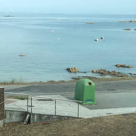 Illas Atlanticas * Palmeira