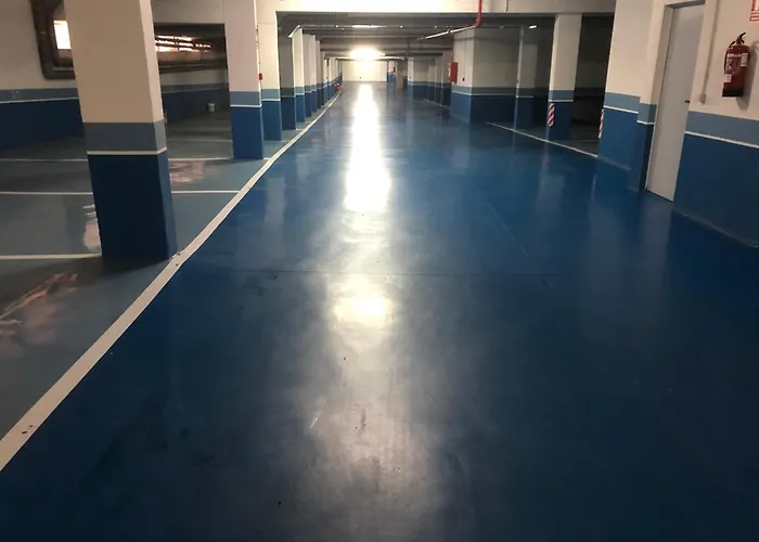 Illas Atlanticas Palmeira